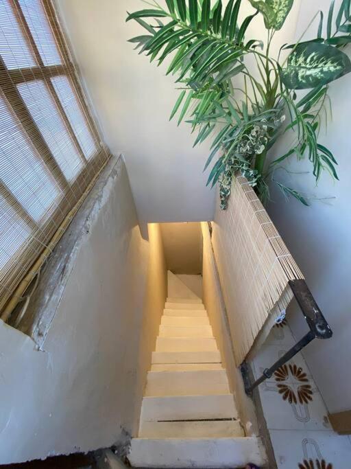 Azotea Elvira Apartment กรานาดา ภายนอก รูปภาพ